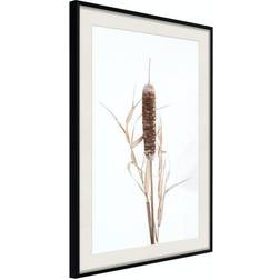 Arkiio Affisch Queen of the Swamps [Poster] 30x45 Poster